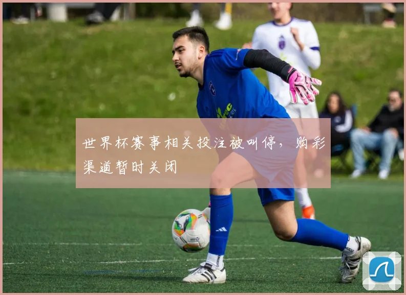 世界杯赛事相关投注被叫停，购彩渠道暂时关闭