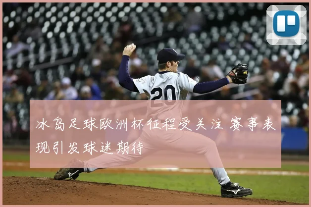 冰岛足球欧洲杯征程受关注 赛事表现引发球迷期待