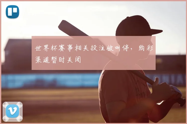 世界杯赛事相关投注被叫停,购彩渠道暂时关闭